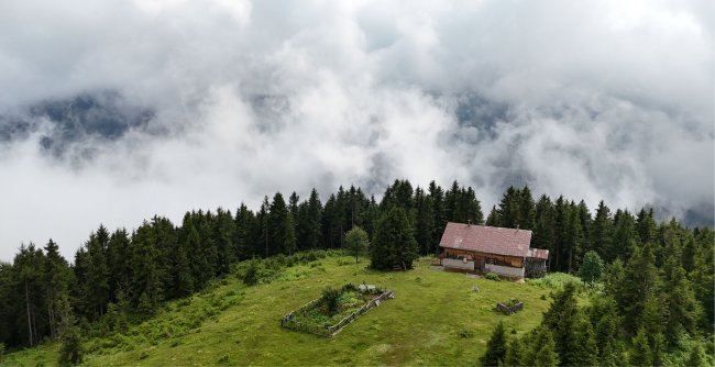 Pokut Yaylası Gezi Rehberi | Sislerin Arasında Saklı Bir Güzellik